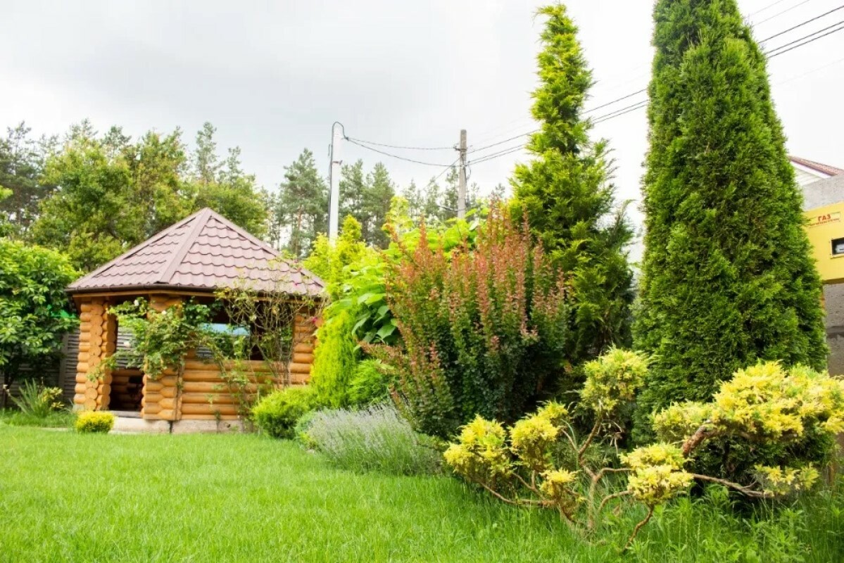 https://orekhovo-zuevo.tgv-stroy.ru/storage/app/uploads/public/637/ef4/fb3/637ef4fb3605f391429275.png